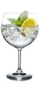 Copas Gin Tonic - Bohemia (6 und)